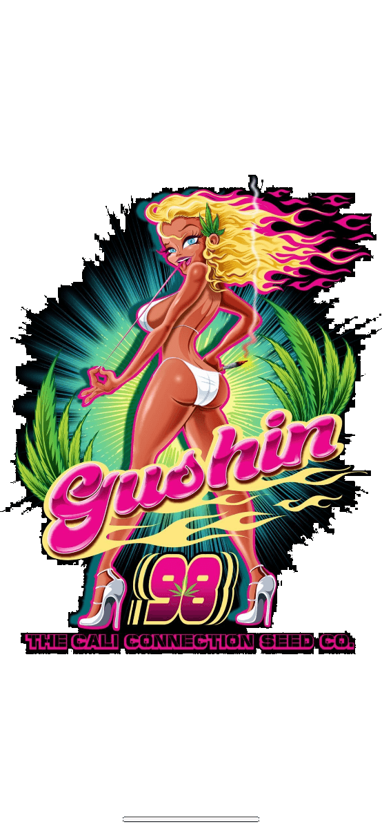 Gushin '98