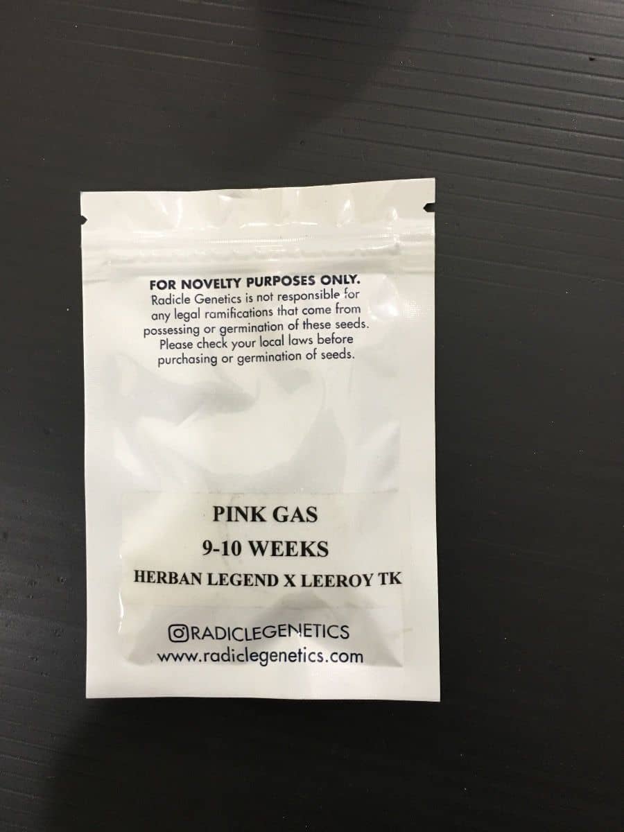 Pink Gas
