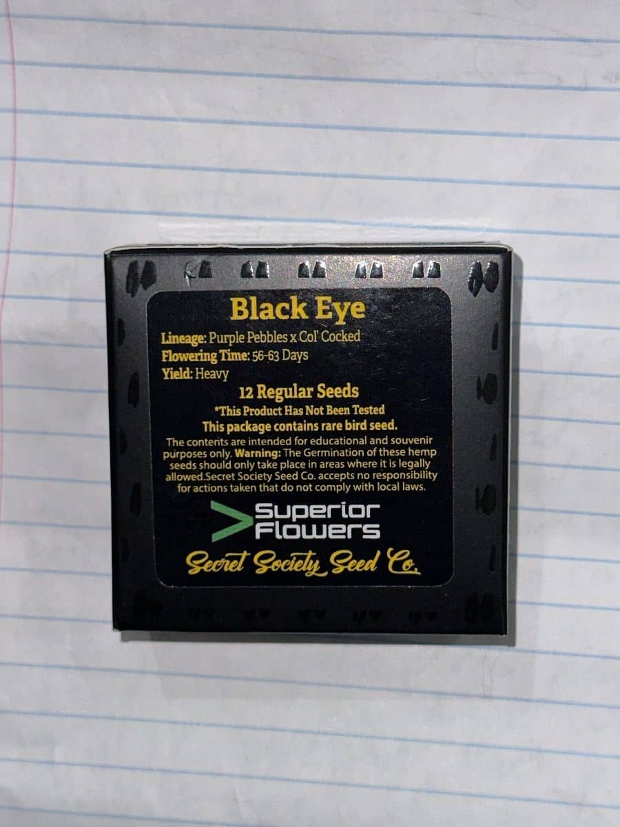 Secret Society Black Eye