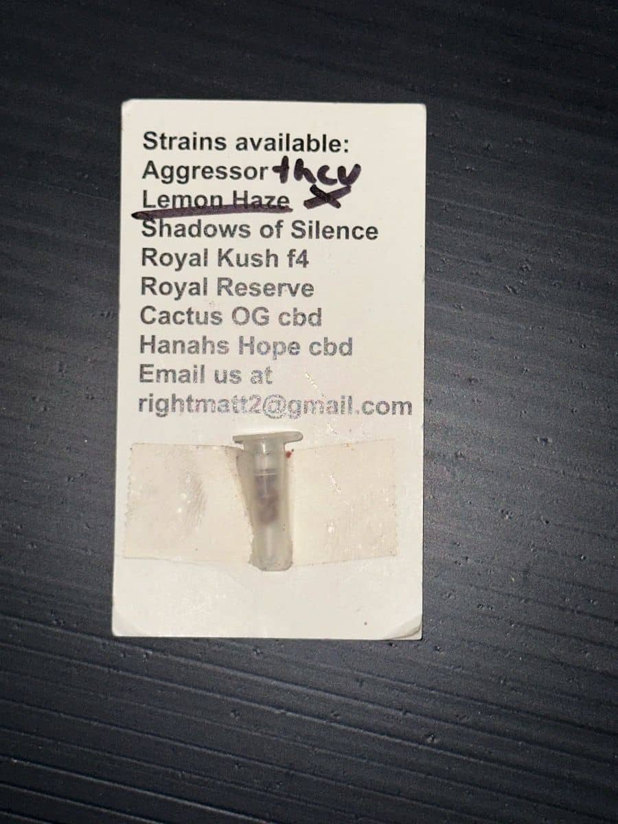 Zia Seeds Lemon Haze THCV
