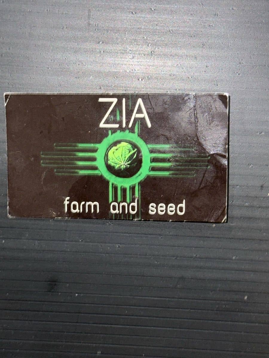 Zia Seeds Lemon Haze THCV