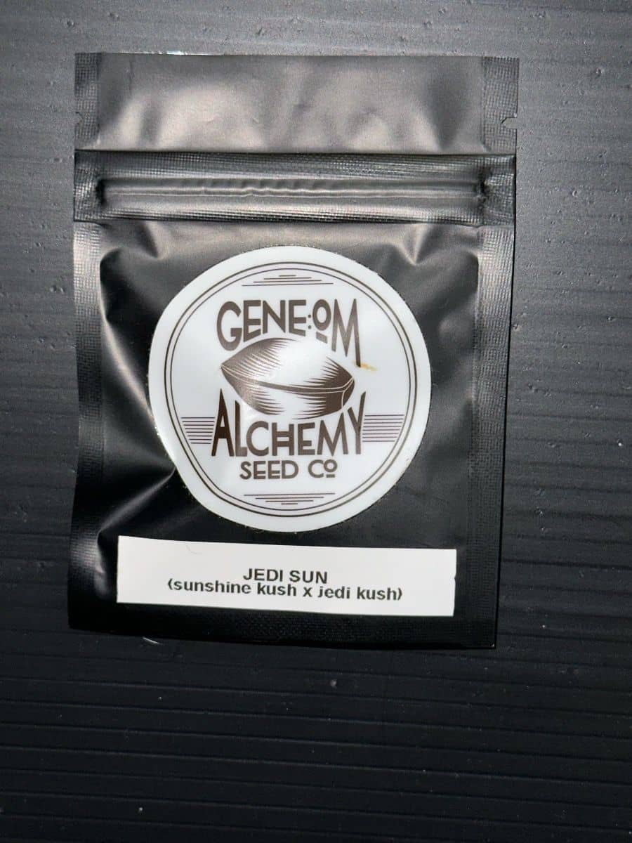Gene om Alchemy Jedi Sun