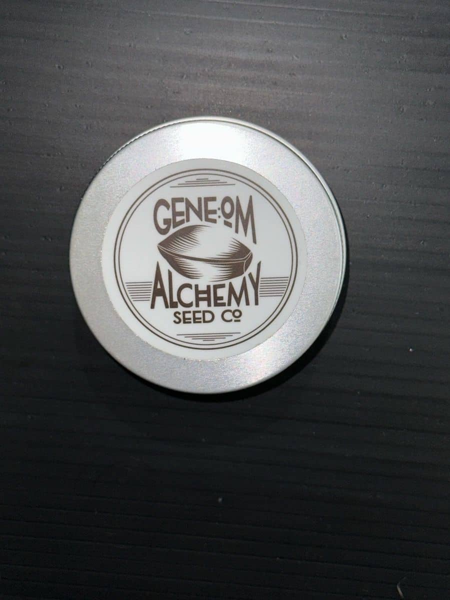Gene Om Alchemy Northstar BX