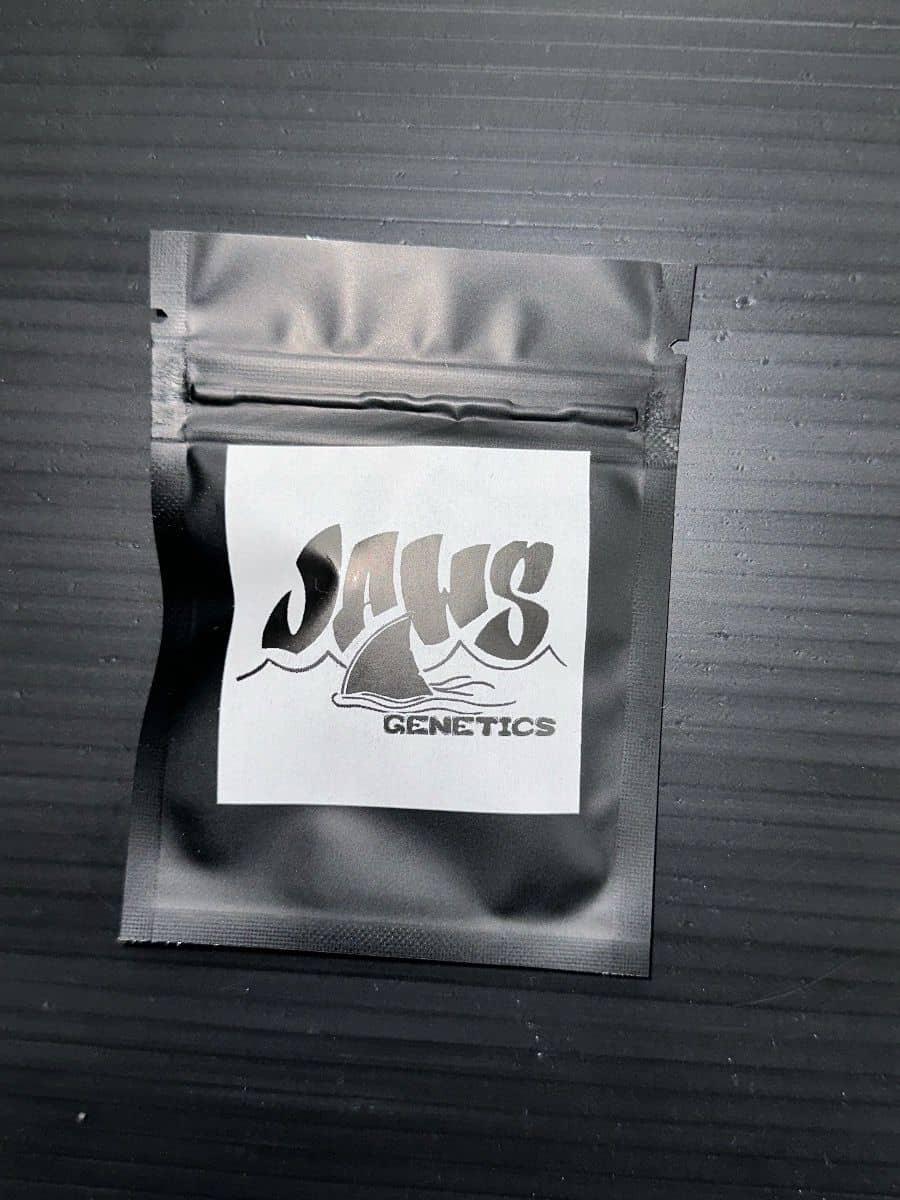 Jaws Genetics Cherry Chem Soda f2