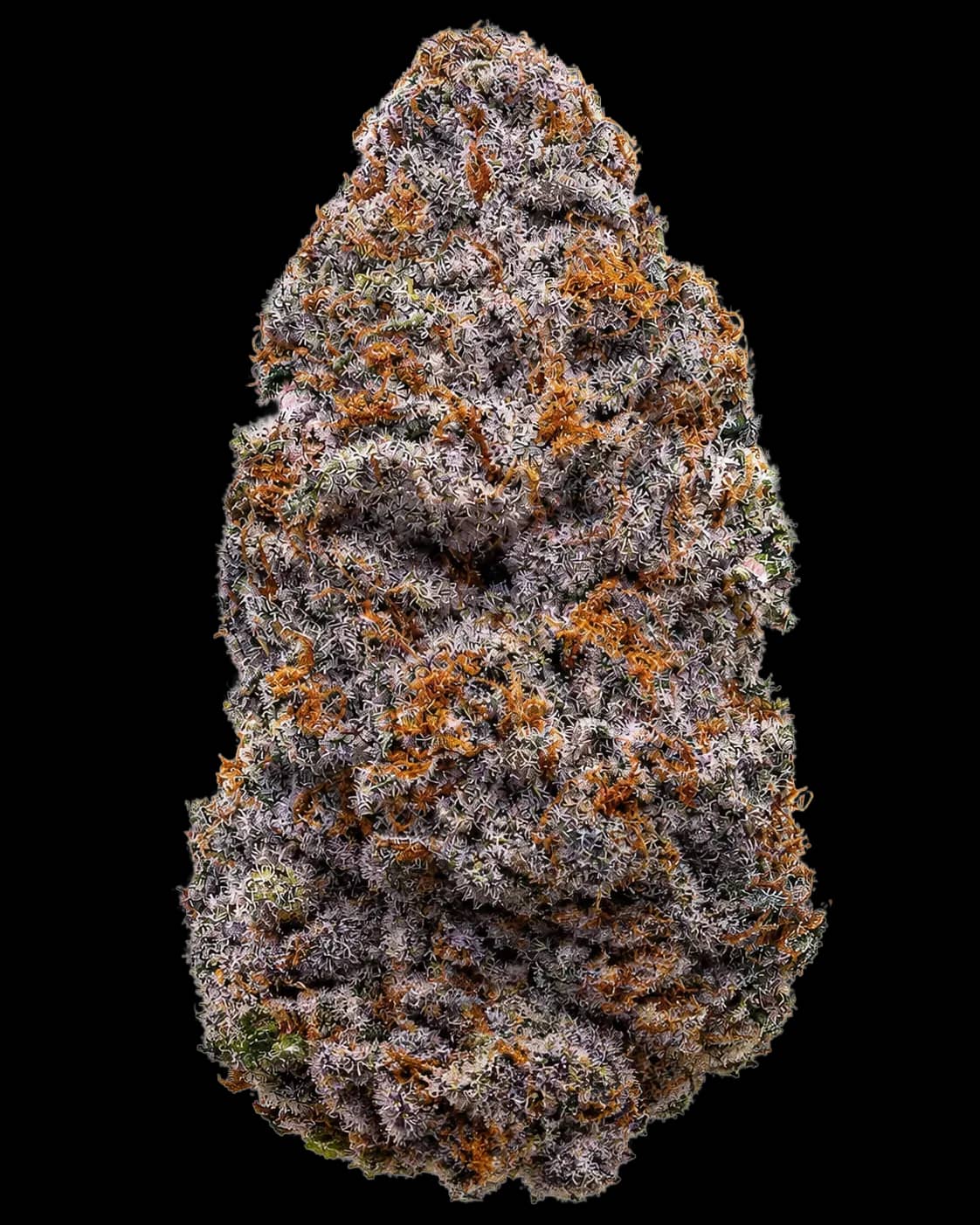 Swerve's Purple Kush S1
