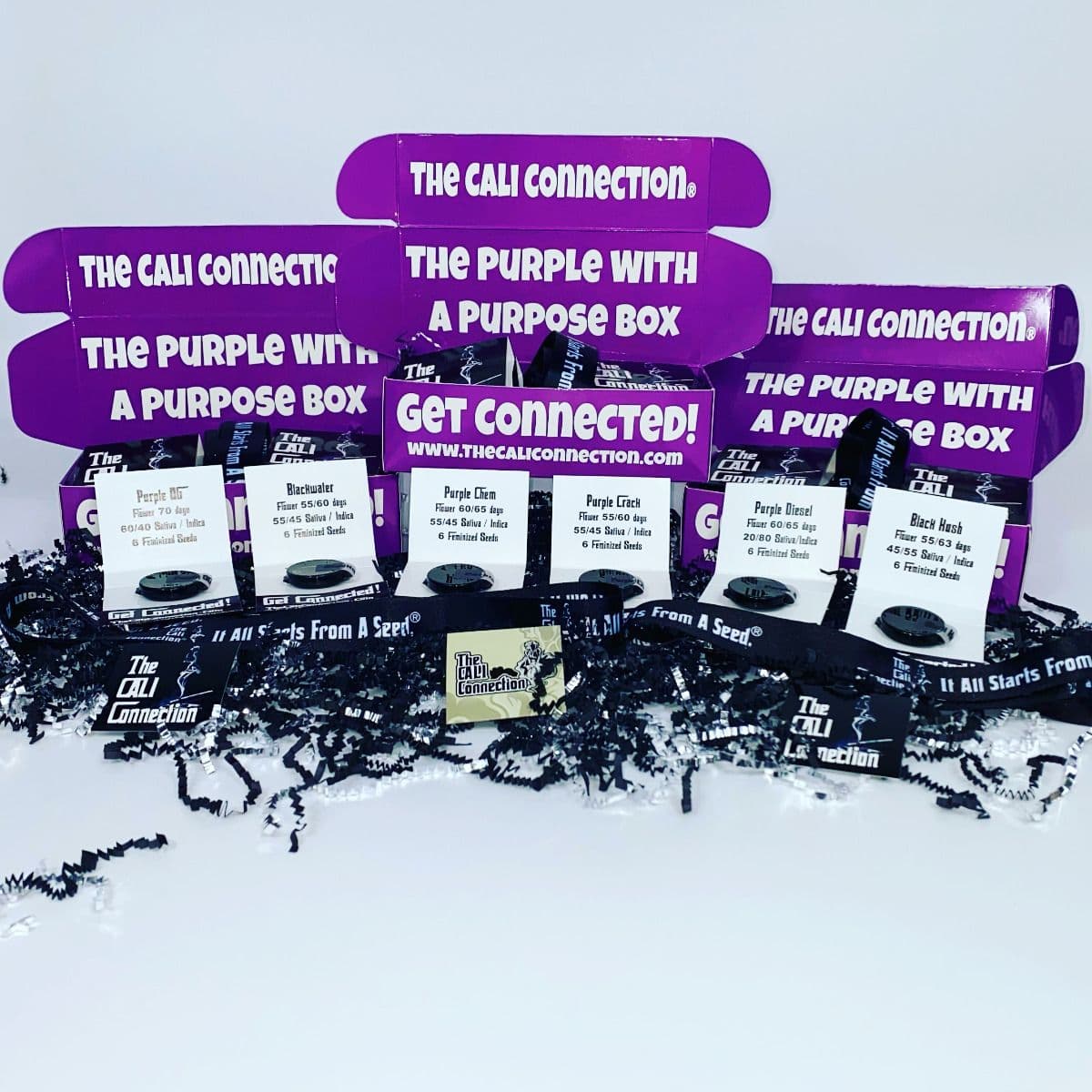 The Purple With A Purpose Box Set