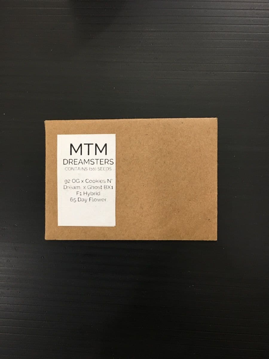 MTM Dreamsters