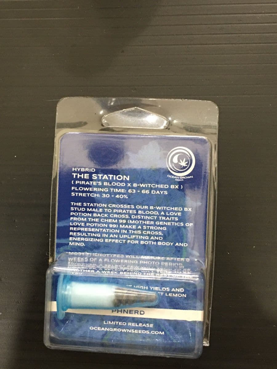 The Station Ocean Grown Seeds