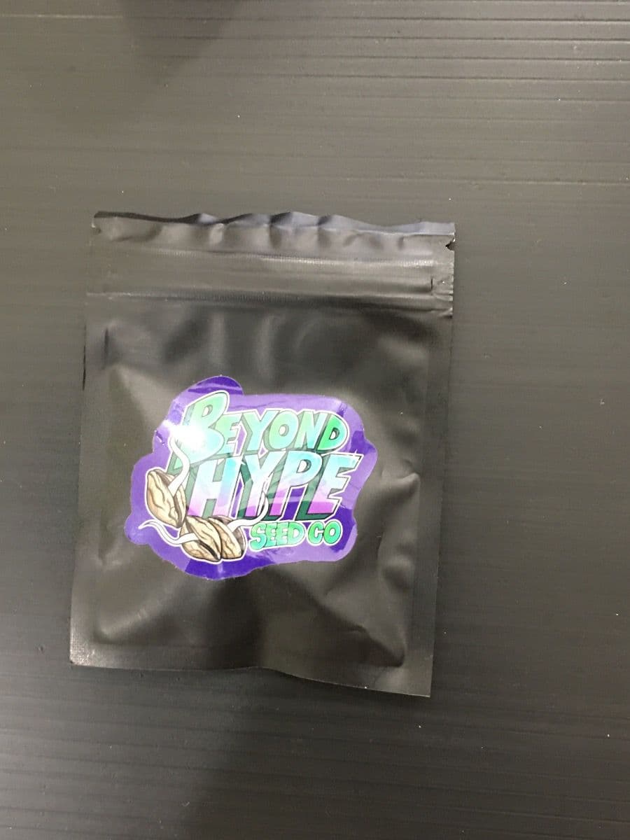 Beyond Hype Seeds Bordello X BMT