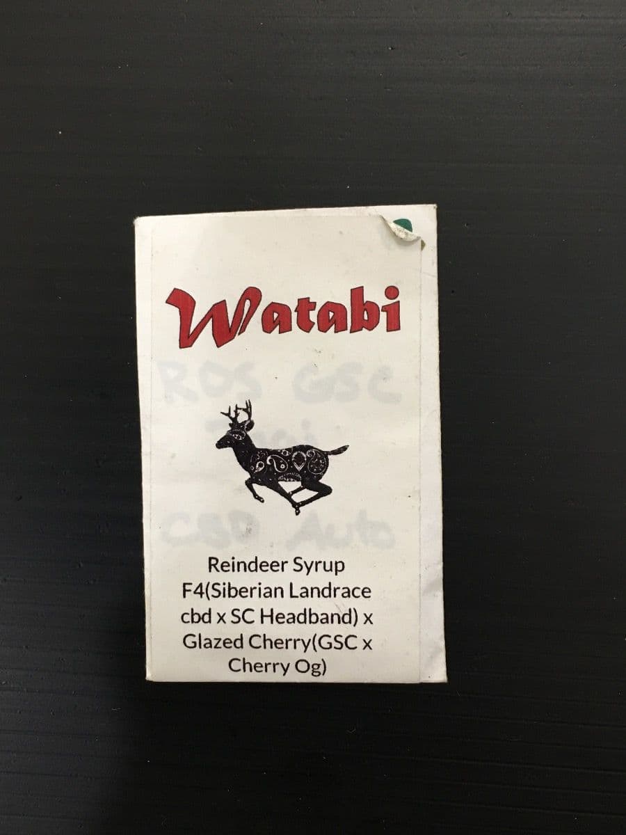 Watabi Reindeer Syrup