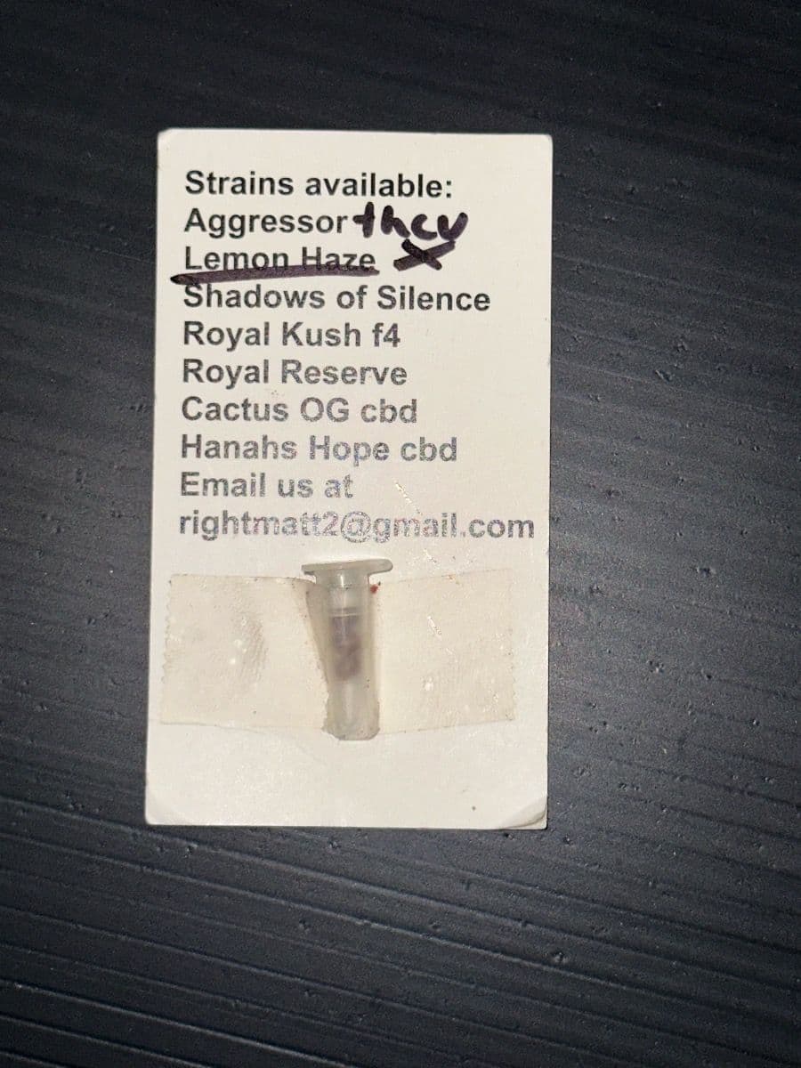 Zia Seeds Lemon Haze THCV