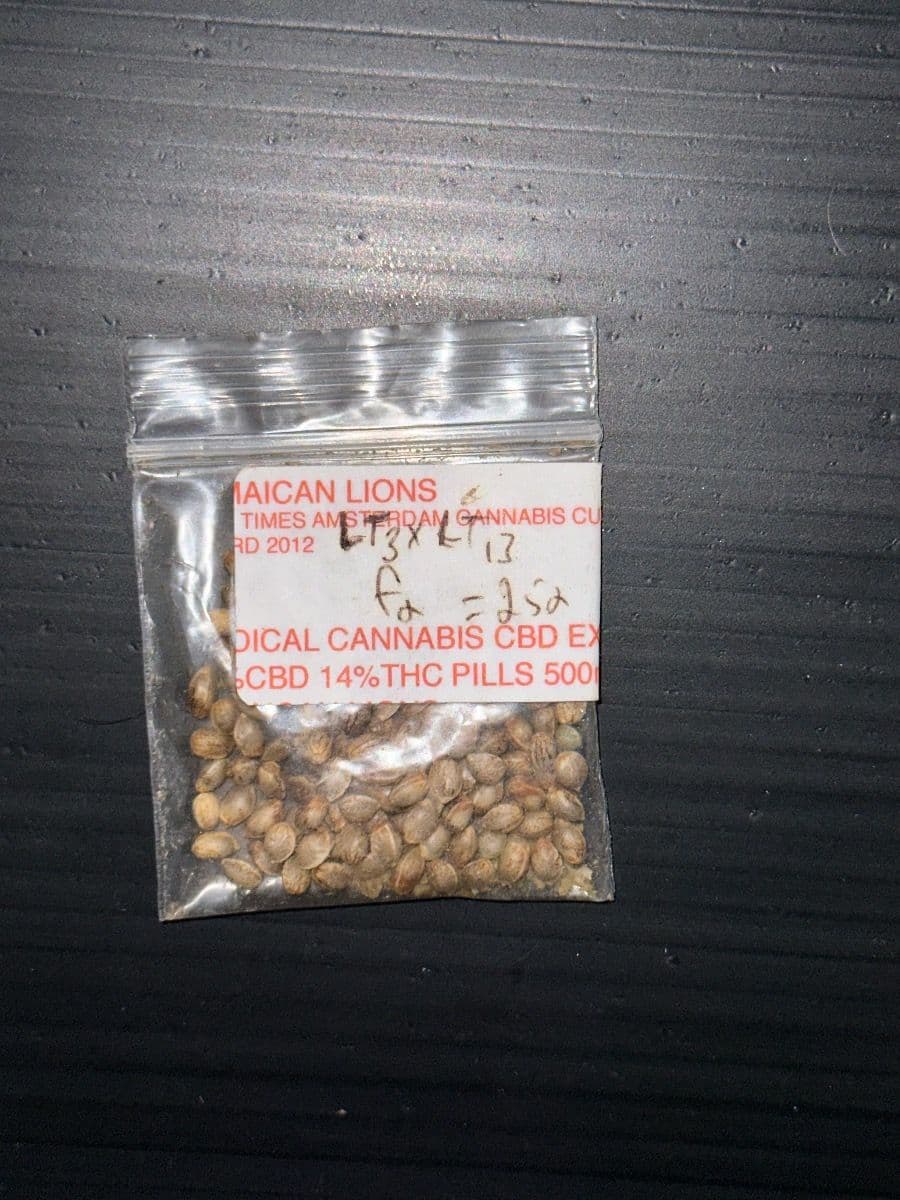 Jamaican Lion CBD