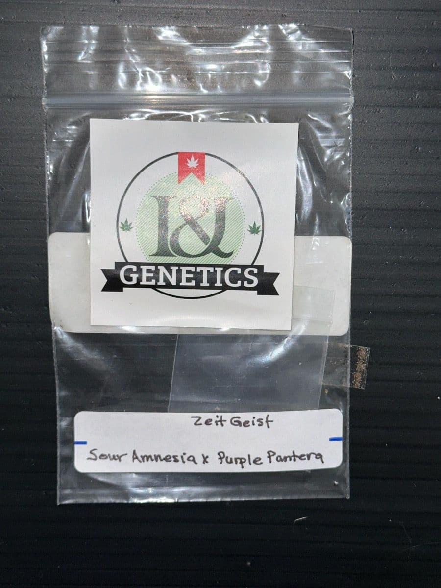 I & J Genetics Zeit Geist