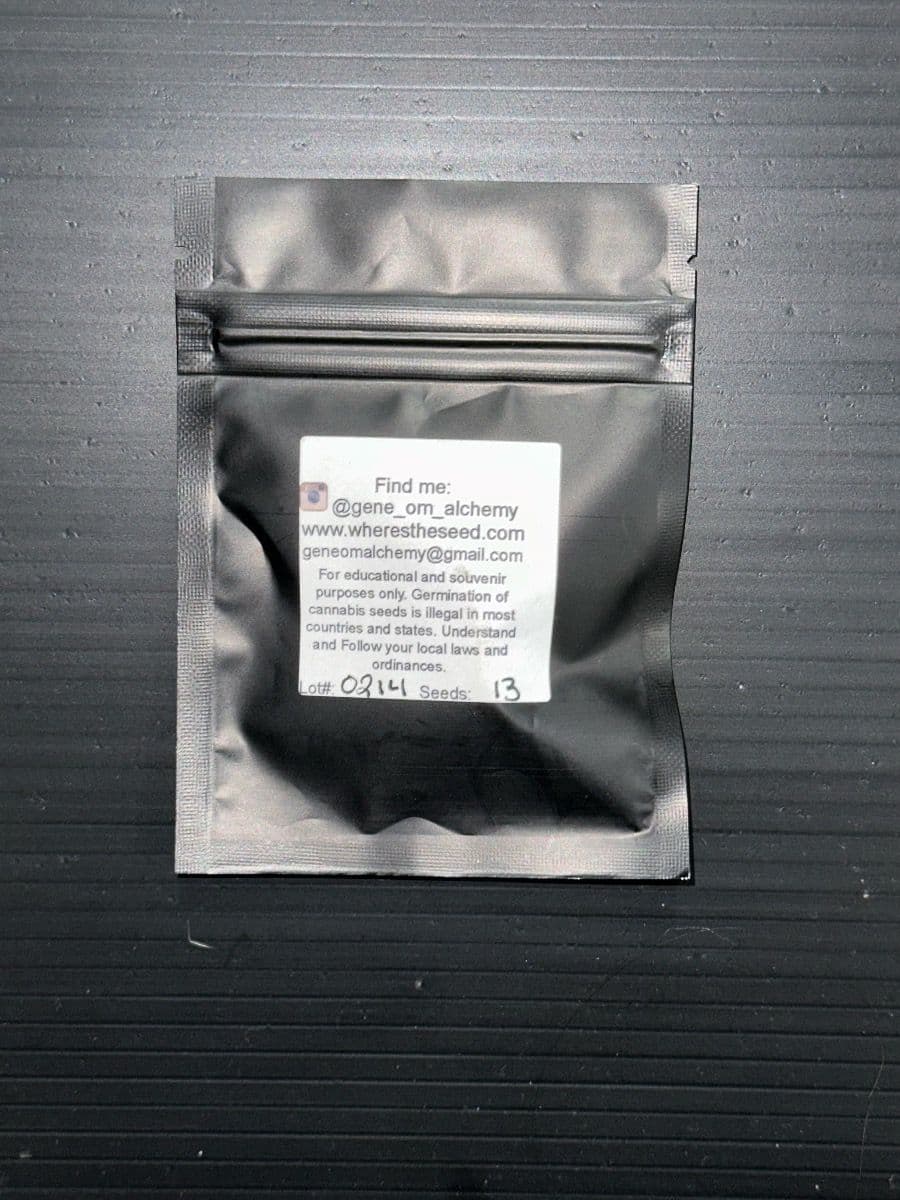 Gene om Alchemy Jedi Sun
