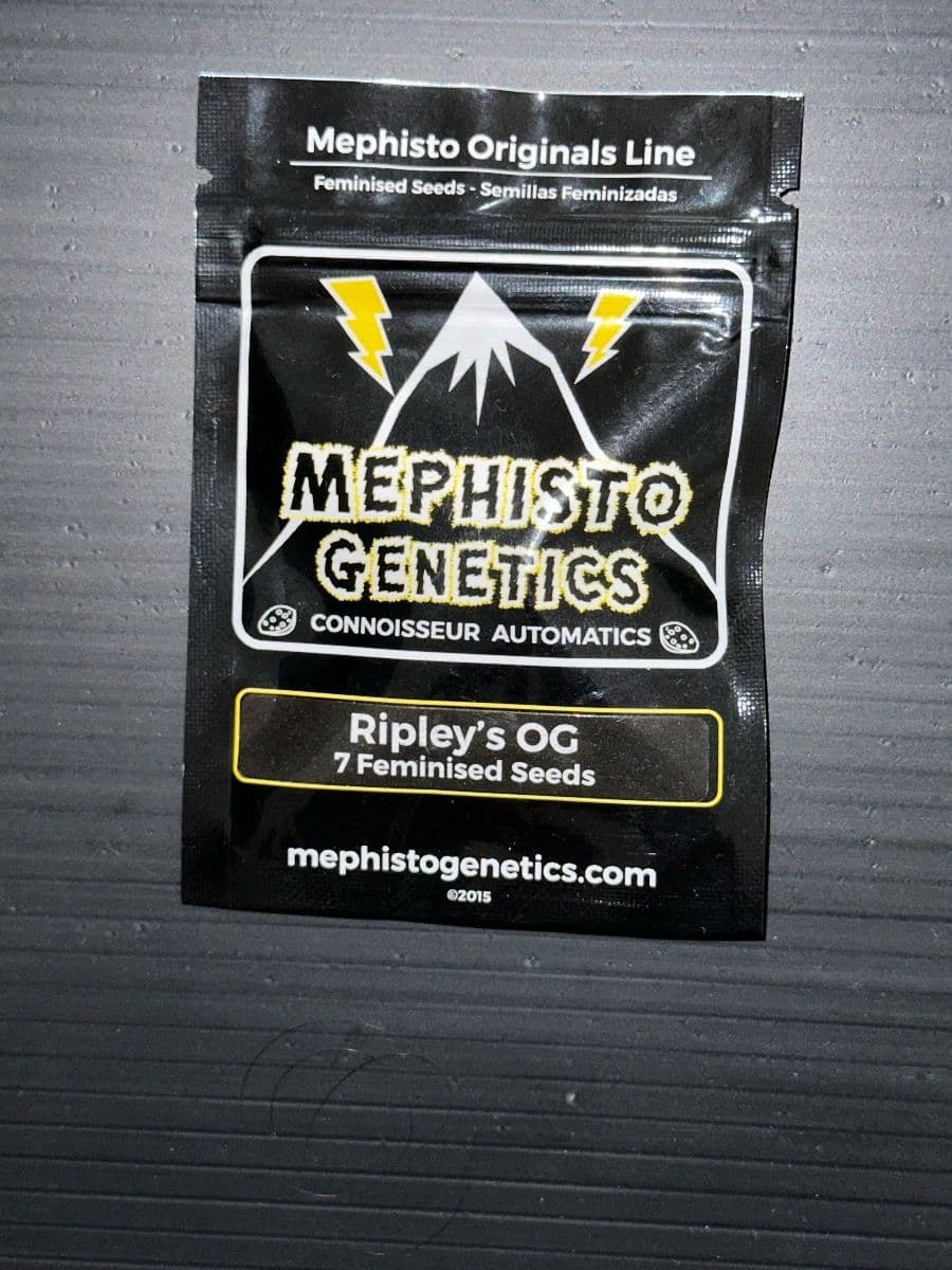 Mephisto Genetics Ripley's Og