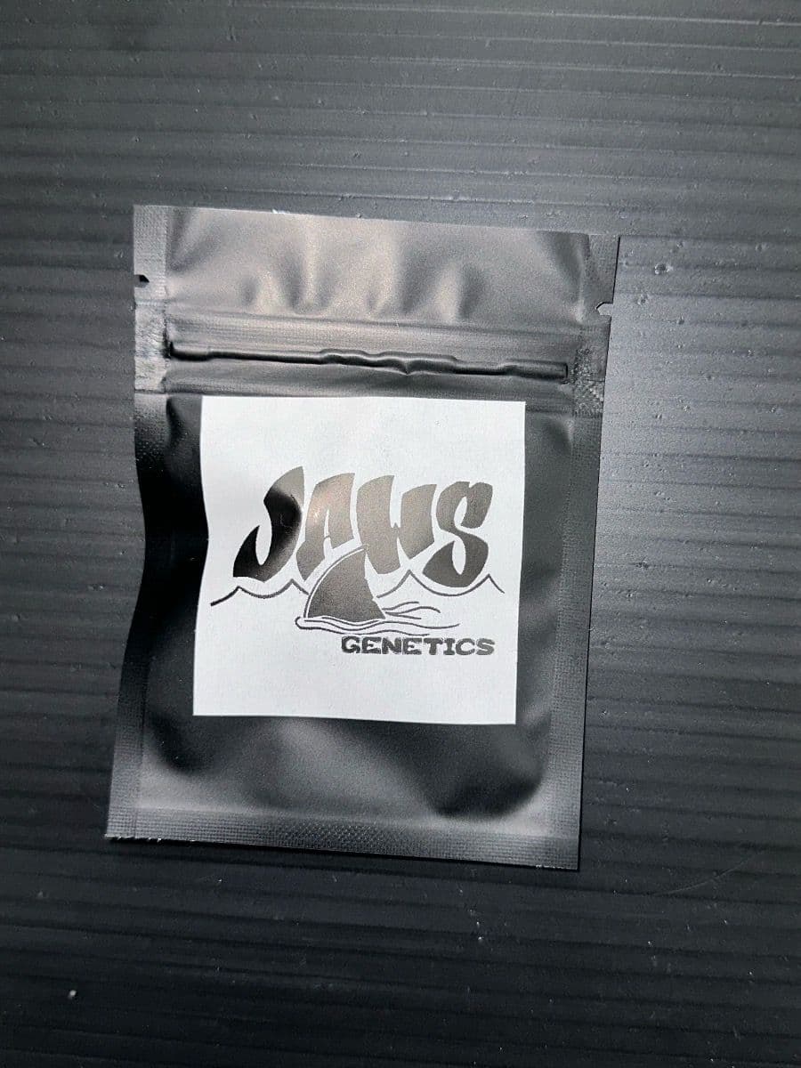 Jaws Genetics Cherry Chem Soda f1