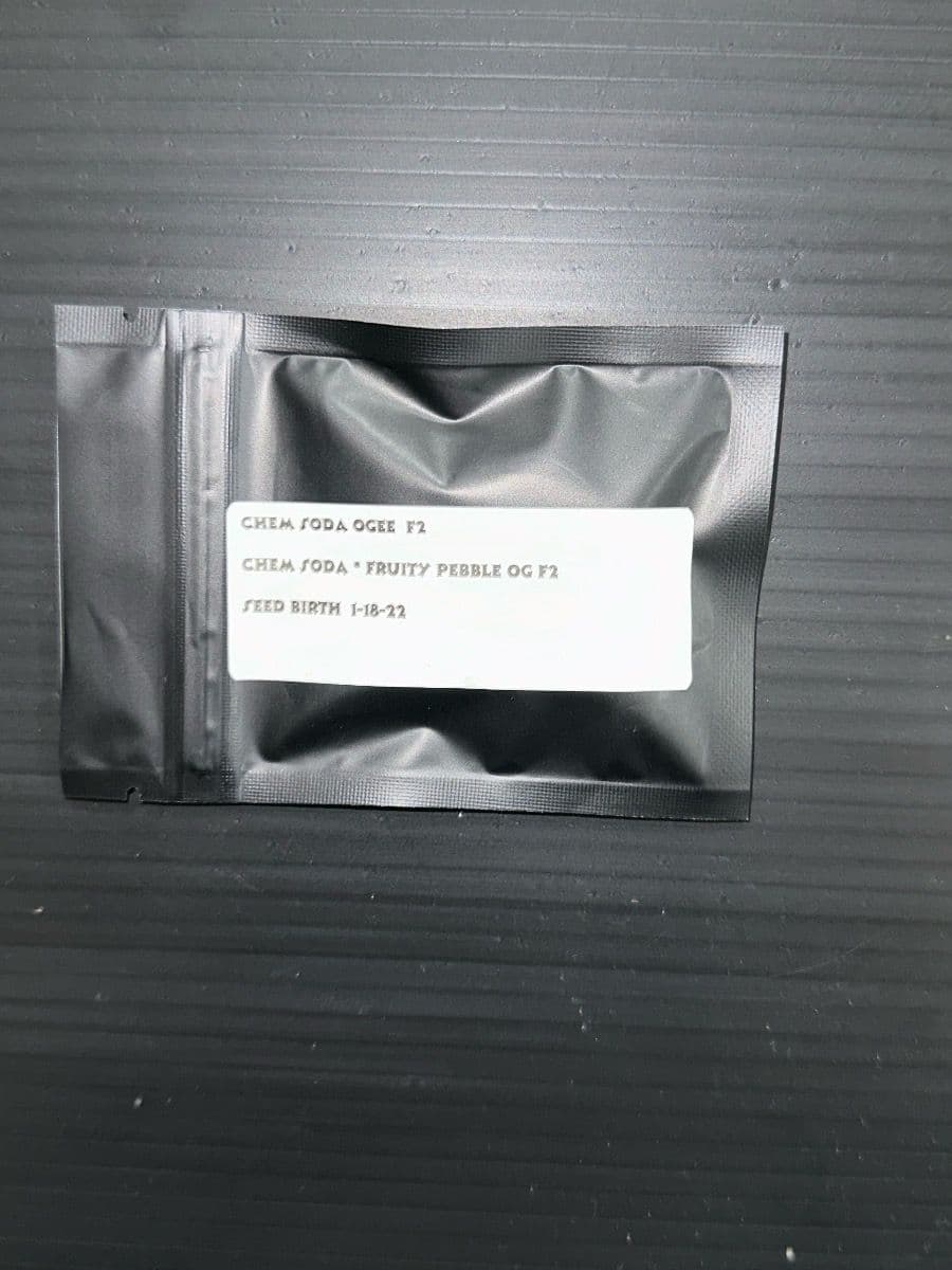 Jaws Genetics Chem Soda Ogee F2