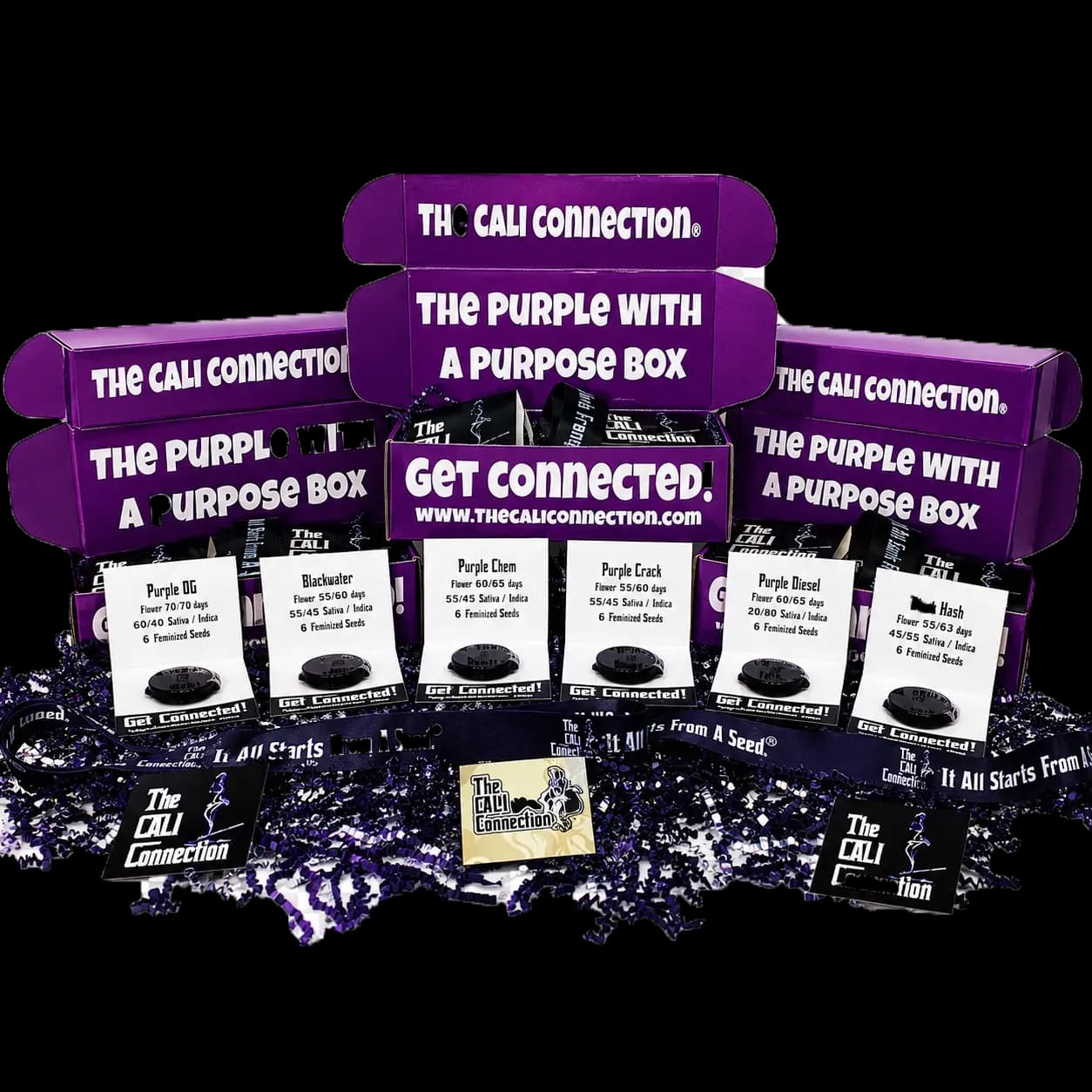 The Purple With A Purpose Box Set