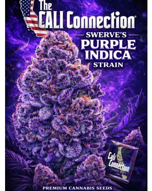 Swerve's Purple Indica S1