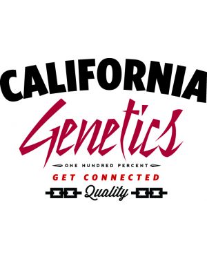 Chem 4 BX1 Regular seeds