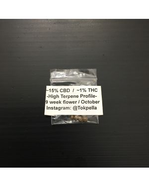 Pure CBD 