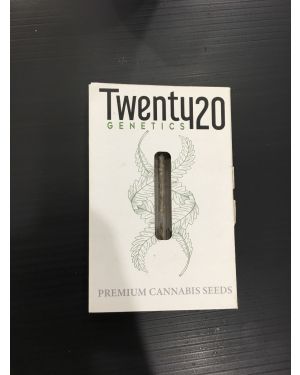 Twenty20 mendo gsc
