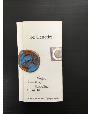 555 tangle x lime vine