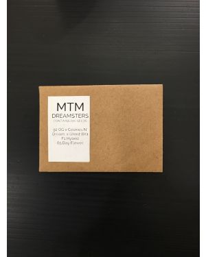 MTM Dreamsters