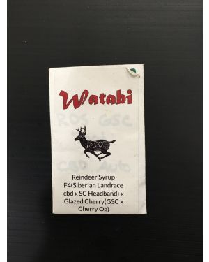 Watabi Reindeer Syrup