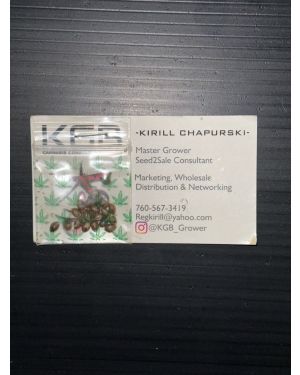 KGB Kirill Chapurski