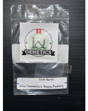 I & J Genetics Zeit Geist
