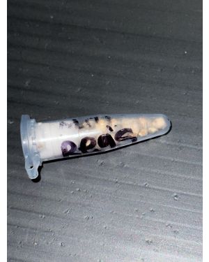 Mystery regs