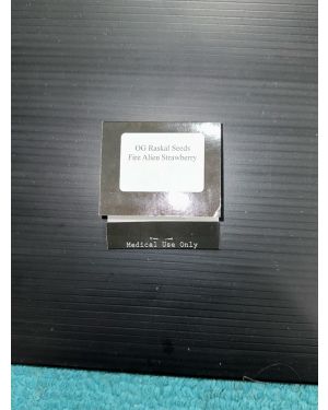Og raskal Seeds Fire Alien Strawberry