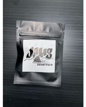 Jaws Genetics Memory Loss BC1
