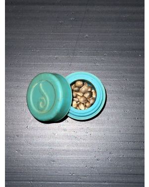 Mystery Seeds #4