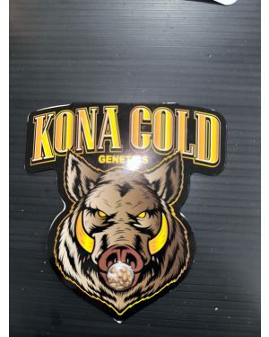 Kona Gold Genetics Kona G X Acapulco gold f2