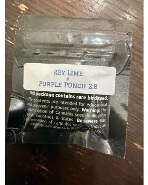 Secret Society Key Lime Pie X Purple Punch 2.0
