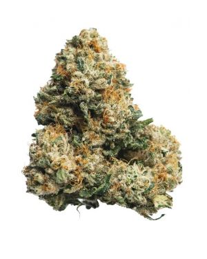 Legend OG S1